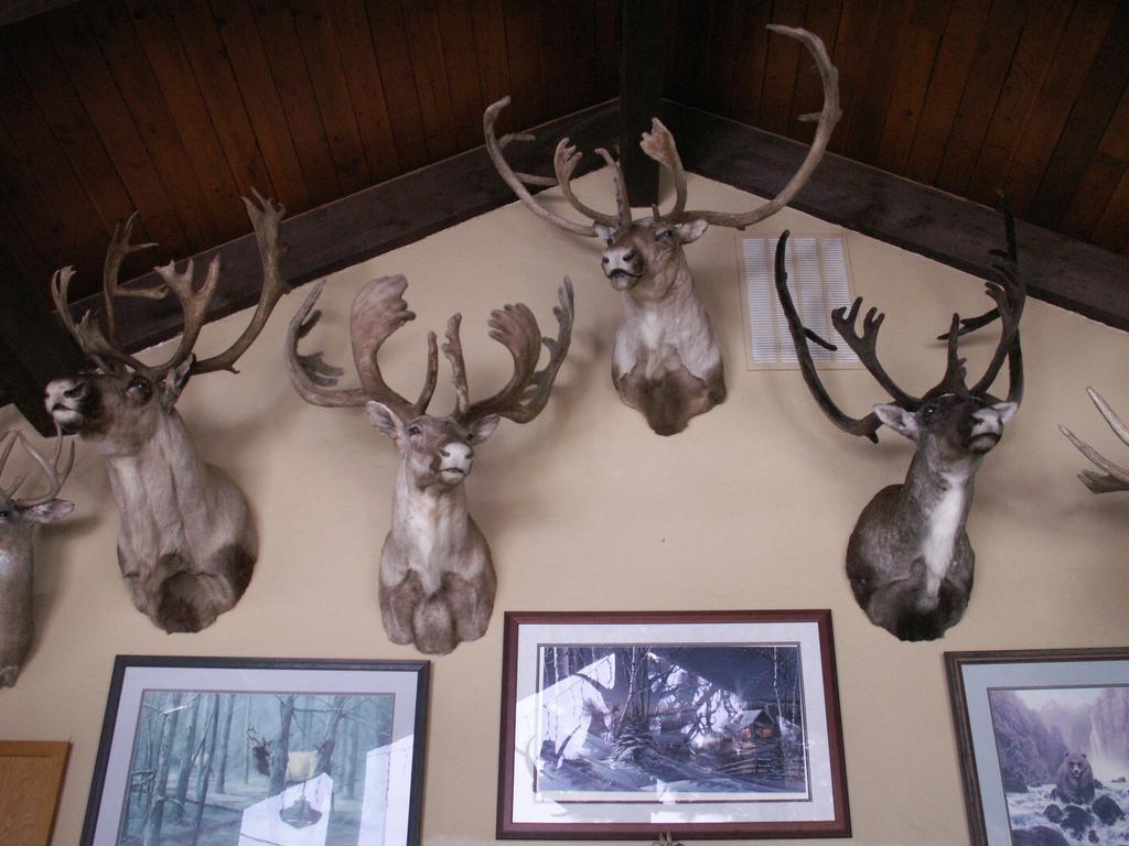 Whitebird Summit Lodge Grangeville Экстерьер фото