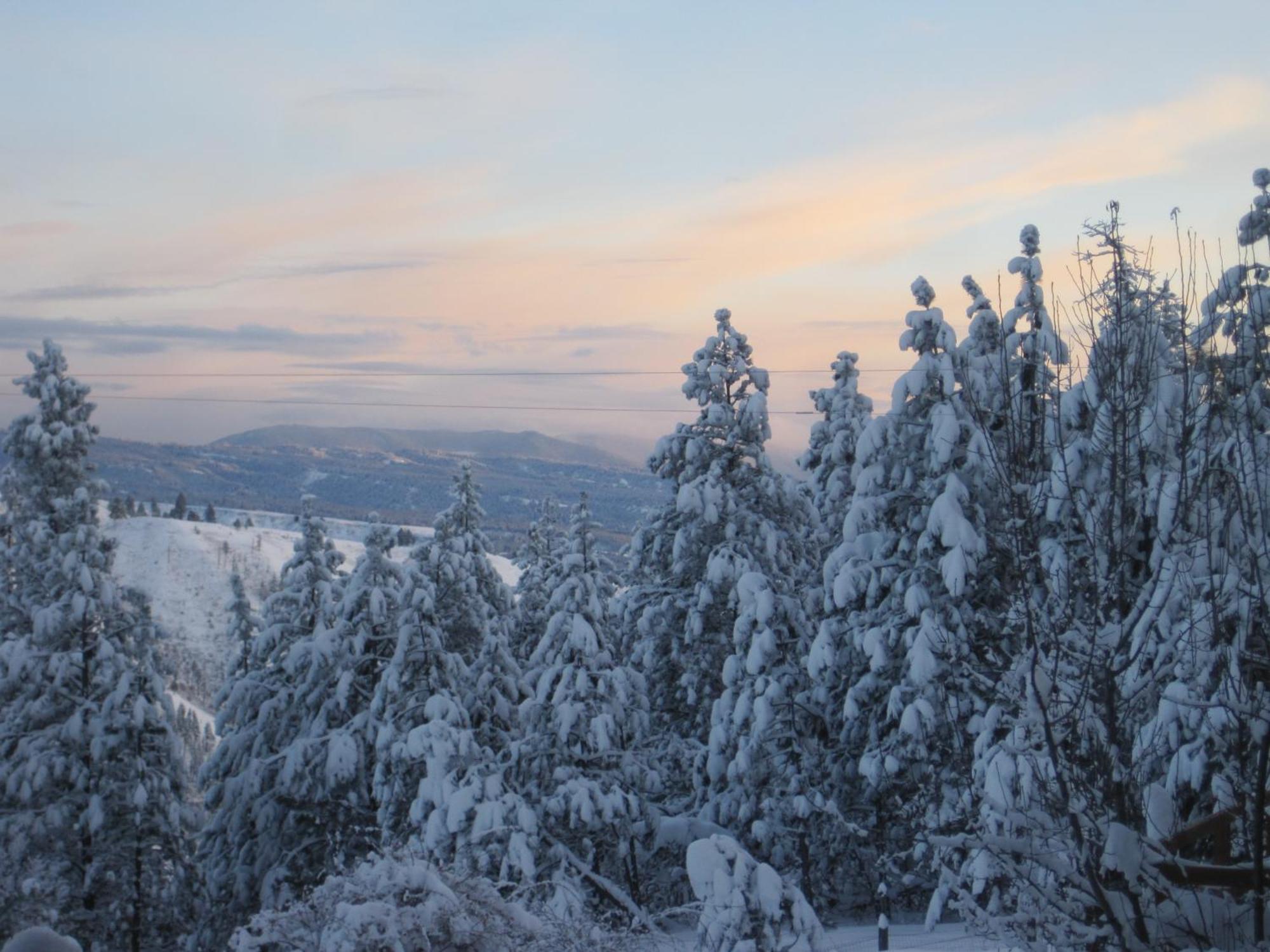Whitebird Summit Lodge Grangeville Экстерьер фото
