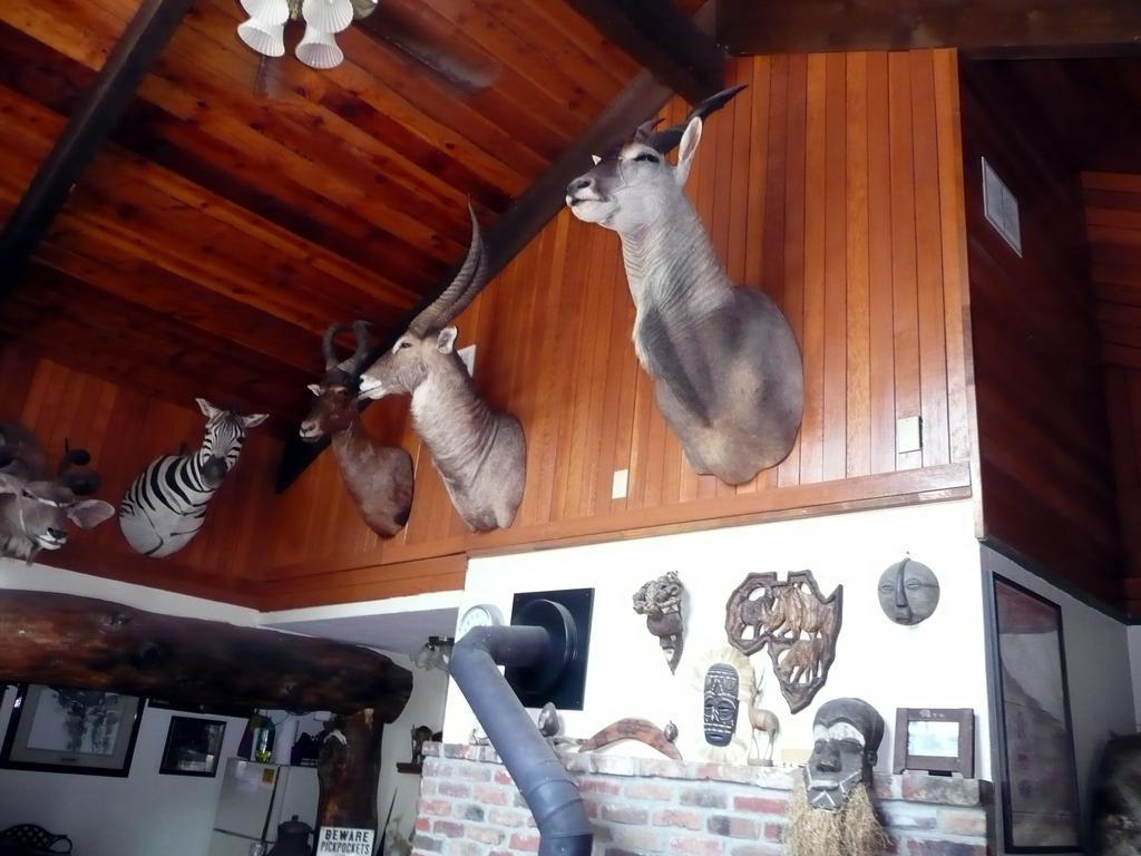 Whitebird Summit Lodge Grangeville Экстерьер фото