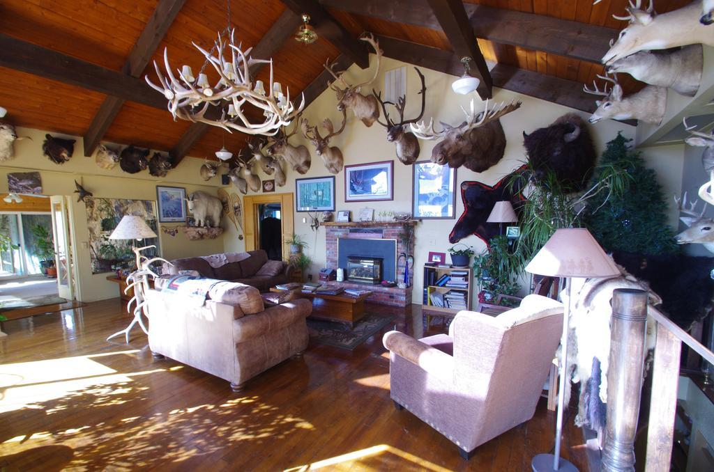 Whitebird Summit Lodge Grangeville Экстерьер фото