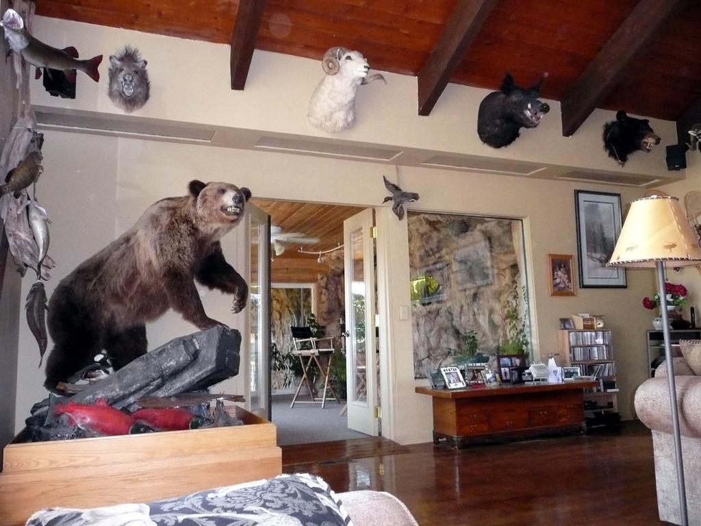 Whitebird Summit Lodge Grangeville Экстерьер фото