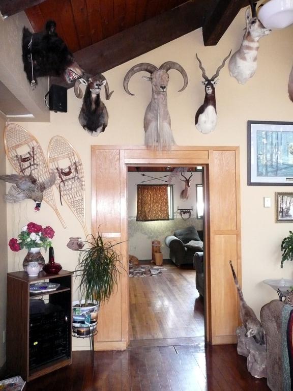 Whitebird Summit Lodge Grangeville Экстерьер фото
