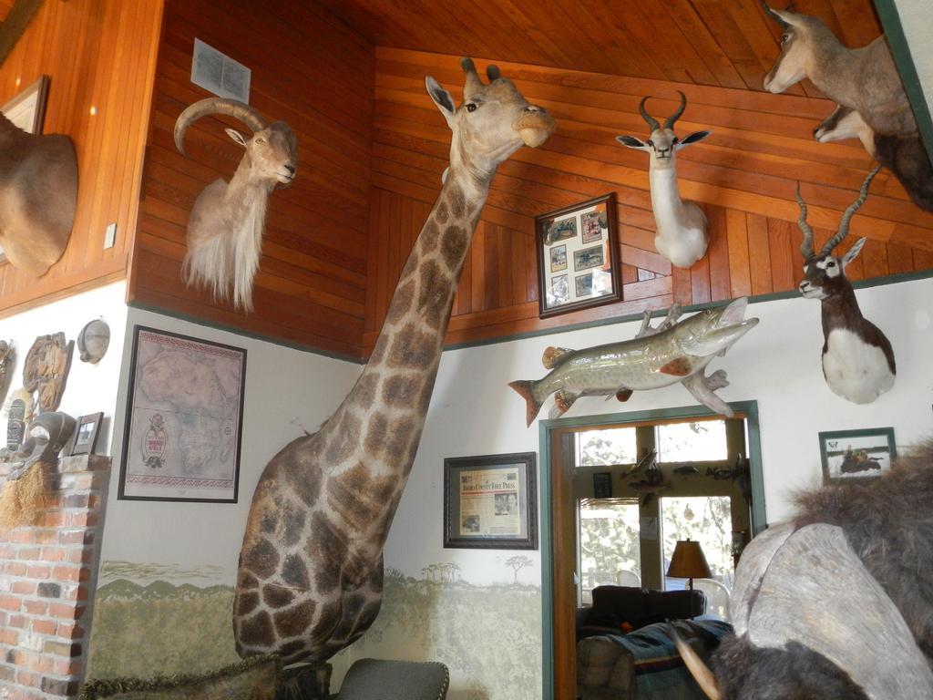 Whitebird Summit Lodge Grangeville Экстерьер фото
