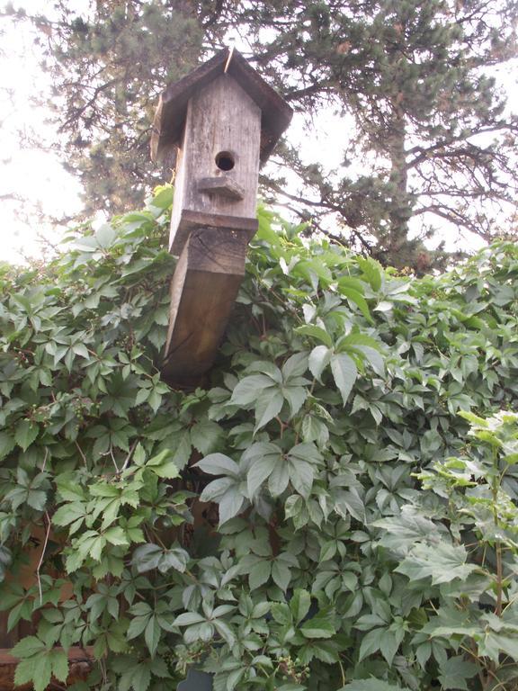 Whitebird Summit Lodge Grangeville Экстерьер фото