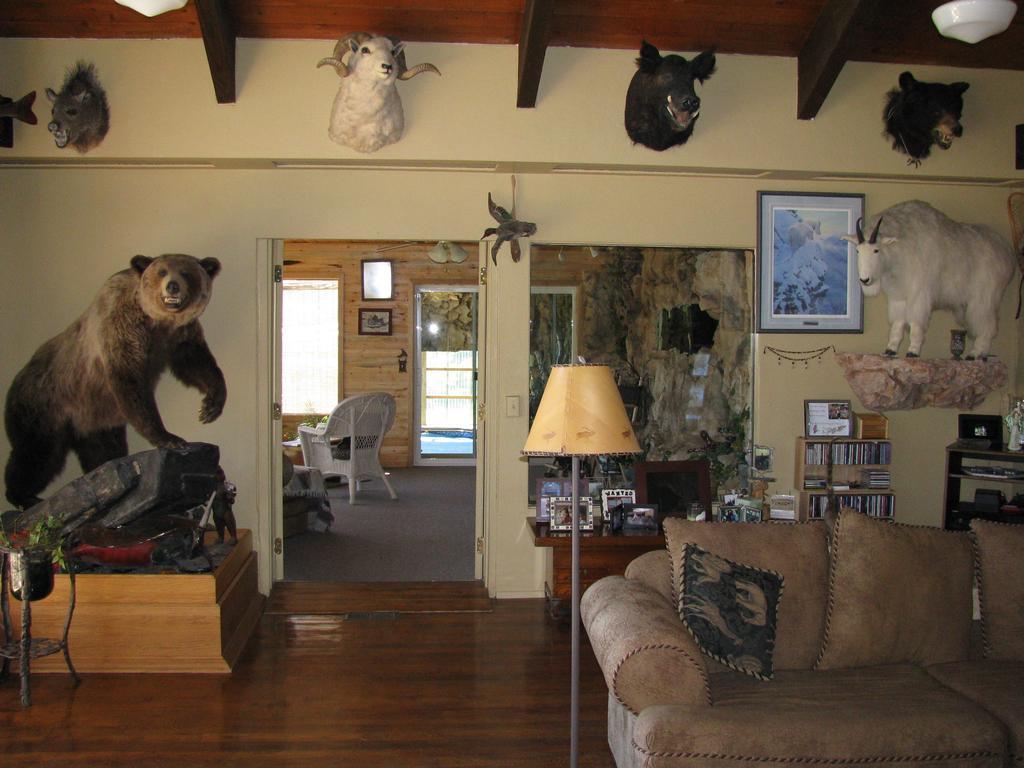 Whitebird Summit Lodge Grangeville Экстерьер фото